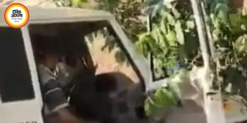 मड़वारानी से लौटते श्रद्धालुओं की पिकअप पेड़ से टकराई, 9 घायल