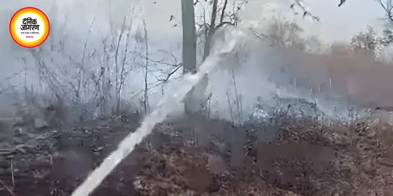 रीवा के गोविंदगढ़ जंगलों में आग, मानवीय लापरवाही की आशंका