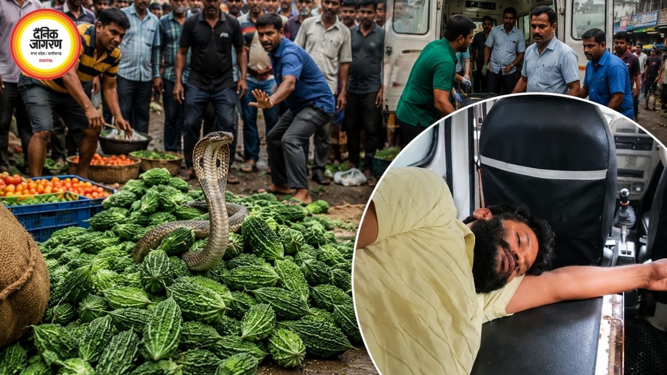 बिलासपुर के सब्जी बाजार में कोबरा निकलने से हड़कंप, युवक को सांप ने डसा